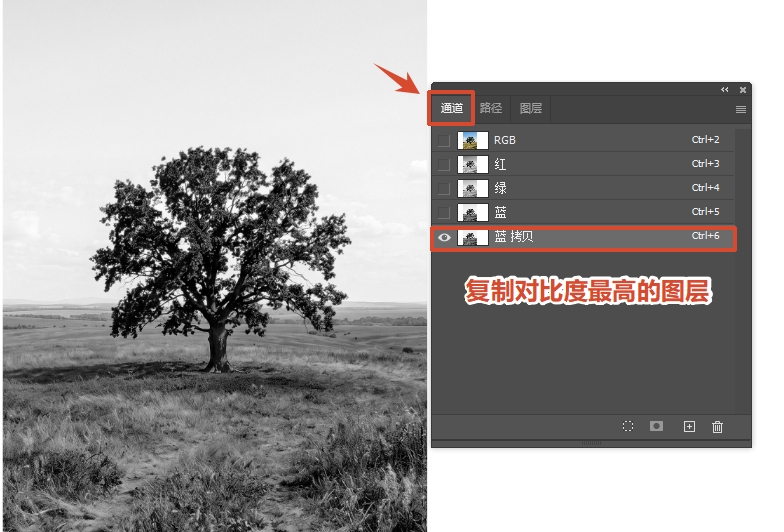 选择对比度最高的通道，右键选择“复制通道”