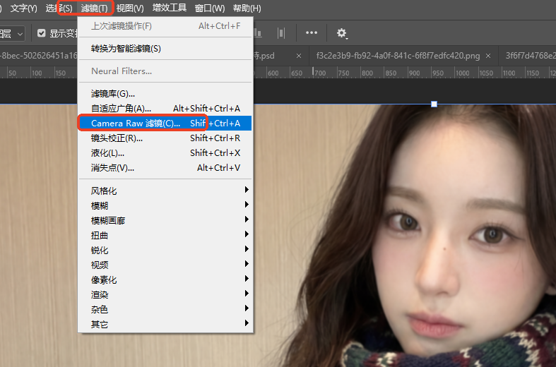 Camera Raw滤镜