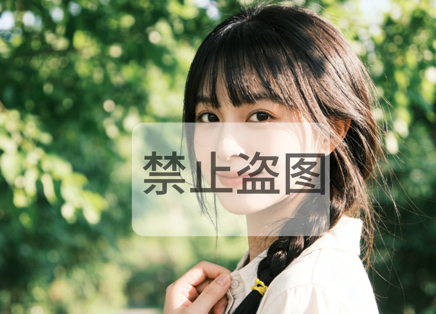禁止盗图大水印