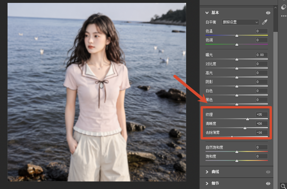 Camera Raw 滤镜