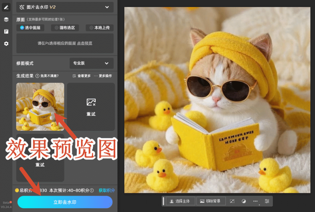 效果预览图