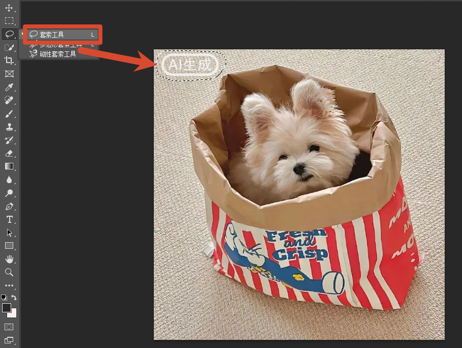 套索工具
