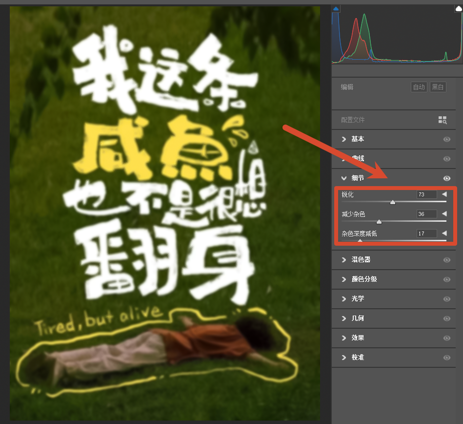 Camera Raw 滤镜