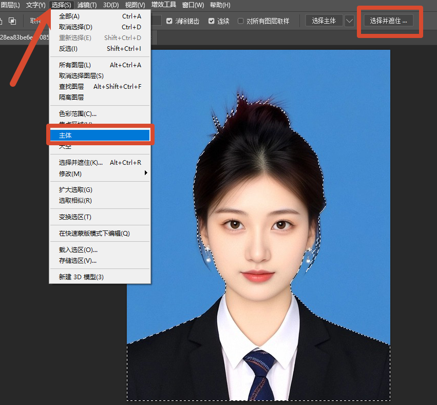 主体