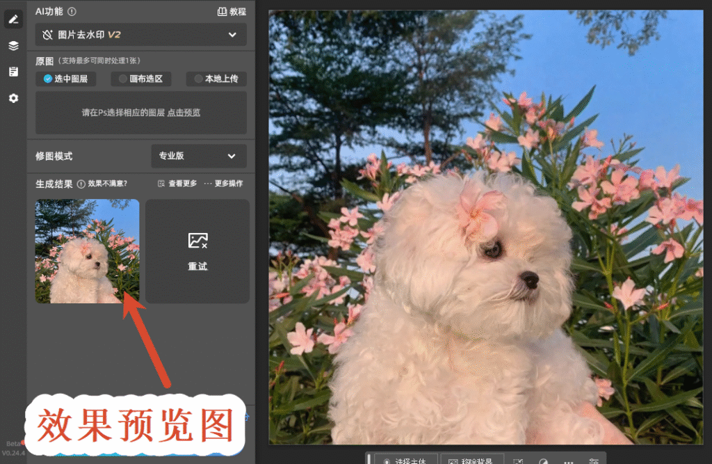 效果预览图