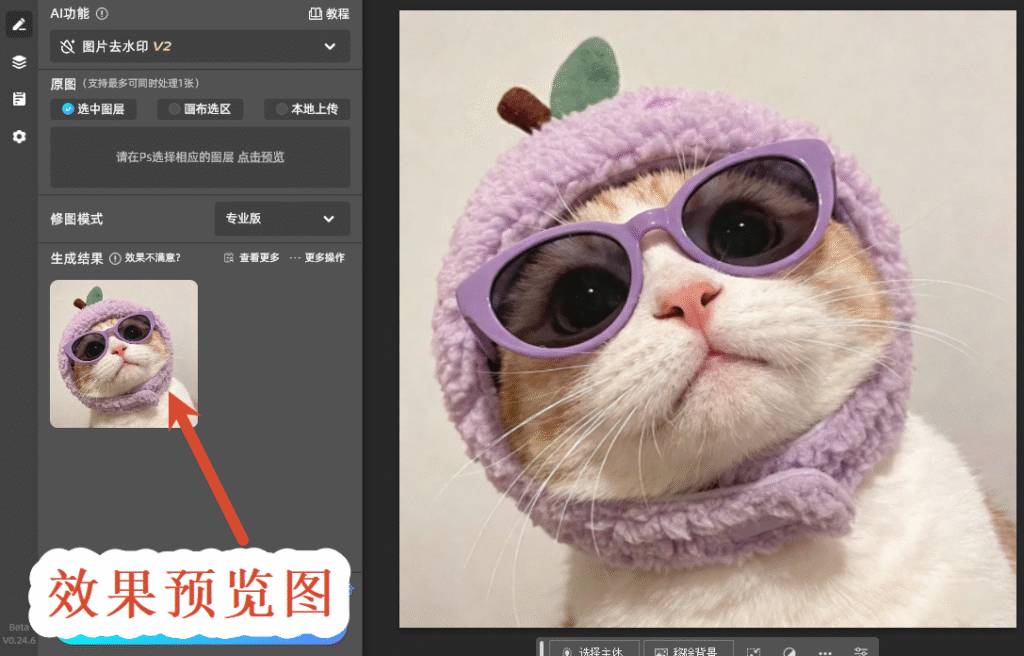 效果预览图