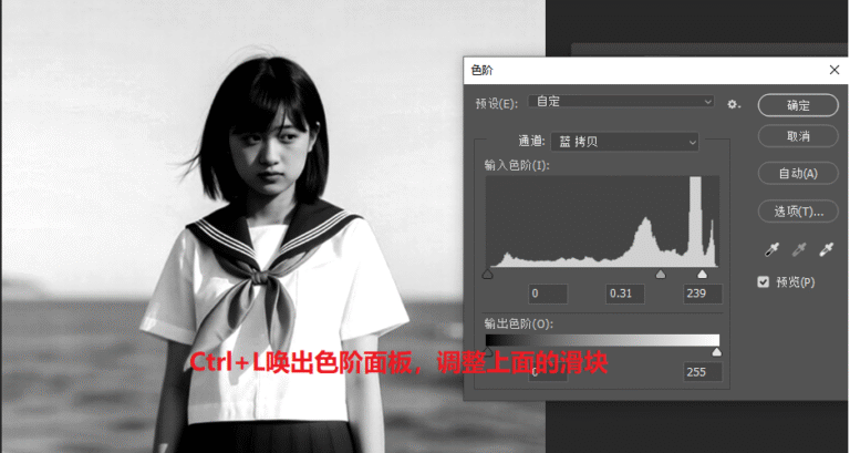 【Ctrl+L】调出色阶,