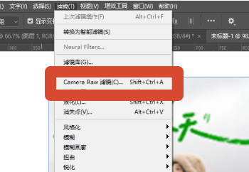 【滤镜】-【Camera Raw 滤镜】