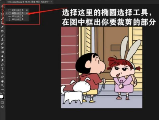 PS怎么把方形图片改成圆形照片？椭圆选框制作圆形透明图完整教程