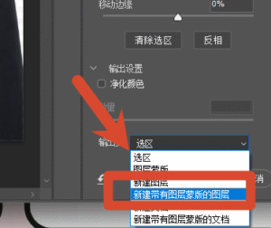 输出选择「新建带有图层蒙版的图层」。