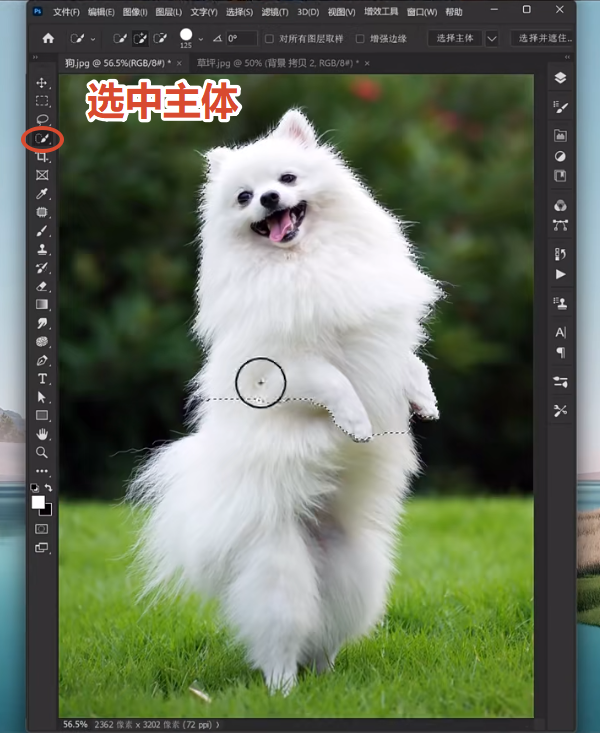 PS怎么把背景变成透明？3种方法一键制作透明底图片