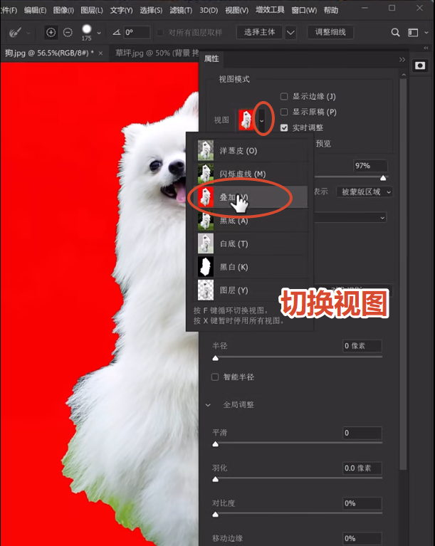PS怎么把背景变成透明？3种方法一键制作透明底图片