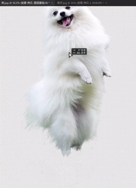 PS怎么把背景变成透明？3种方法一键制作透明底图片