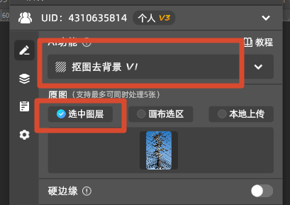 选择抠图去背景并选中图层预览