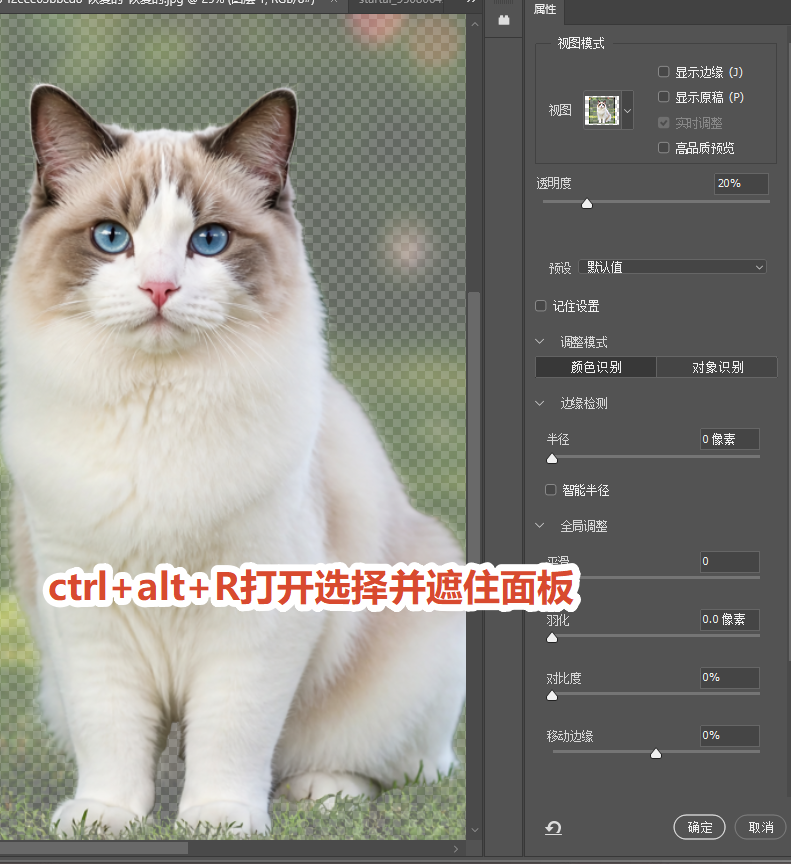快捷键Ctrl+Alt+R打开选择并遮住面板