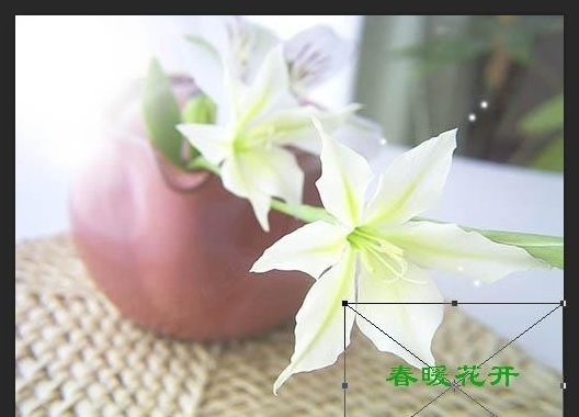PS怎么批量给图片加水印?全自动无痕批处理实操教程