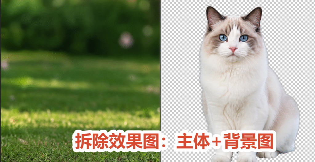 startai分离主体背景最终效果