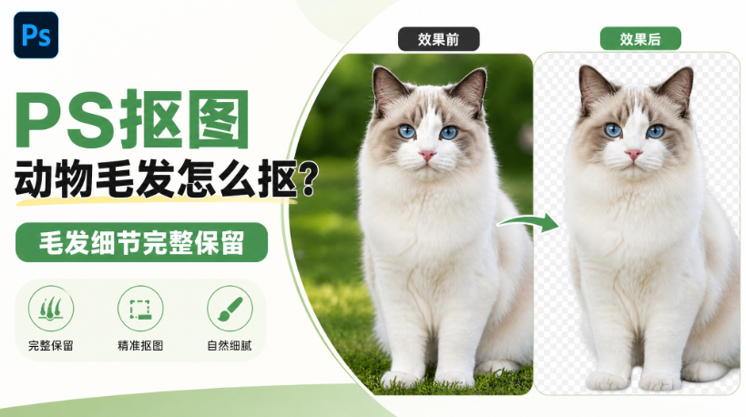 PS抠图动物毛发怎么抠？毛发细节完整保留