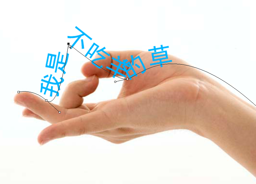 PS怎么创建路径文字?沿路径排列弧形文字实操教程