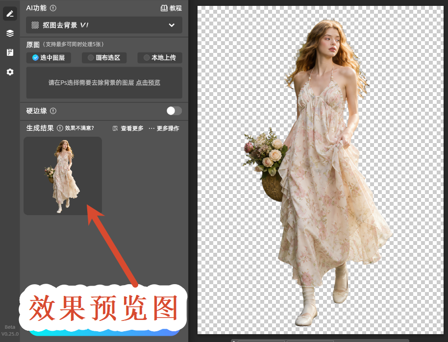 效果预览图