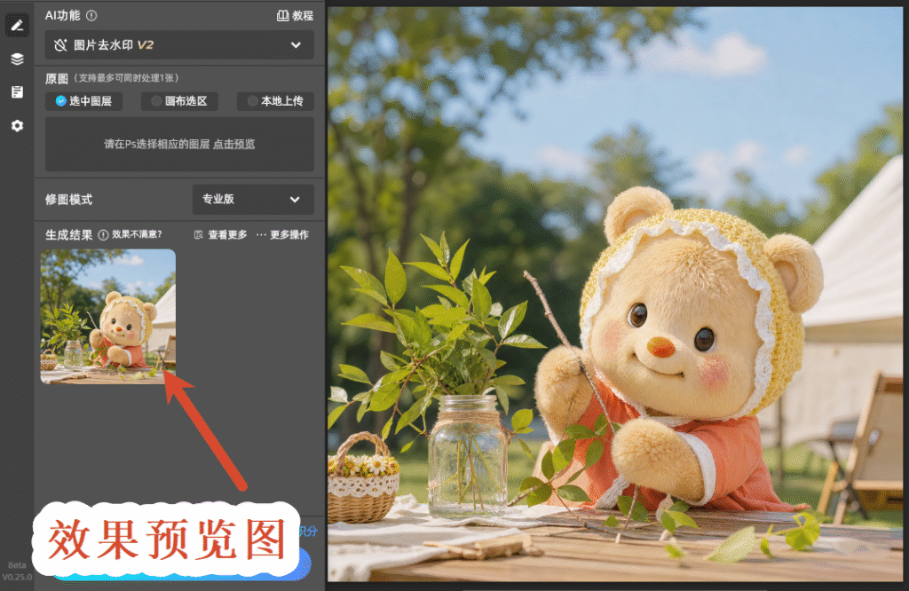 效果预览图