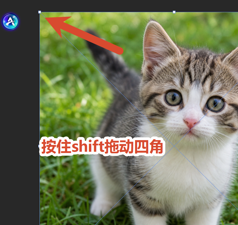 按住 Shift，拖动四角控制点，等比例缩放，防止变形