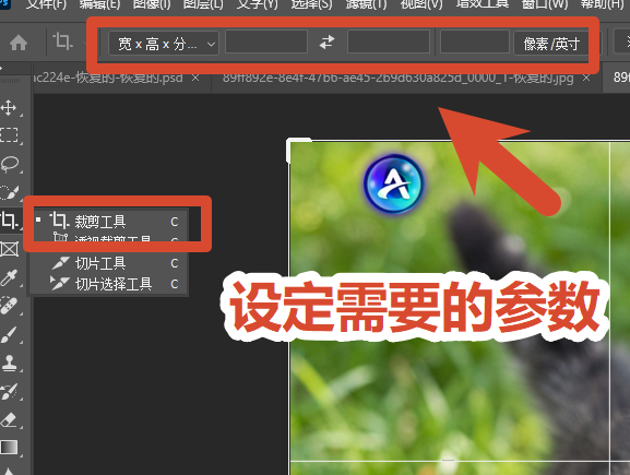 在顶部设置好目标宽高像素，例如 800×800。