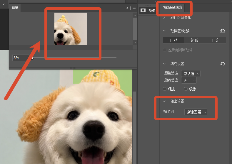 预览图