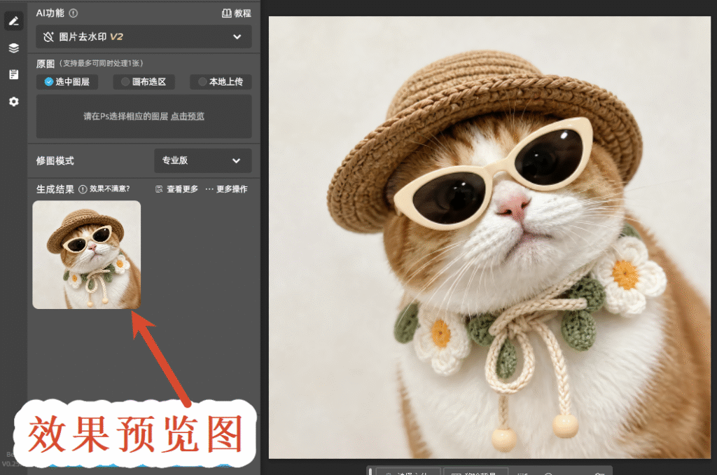 效果预览图