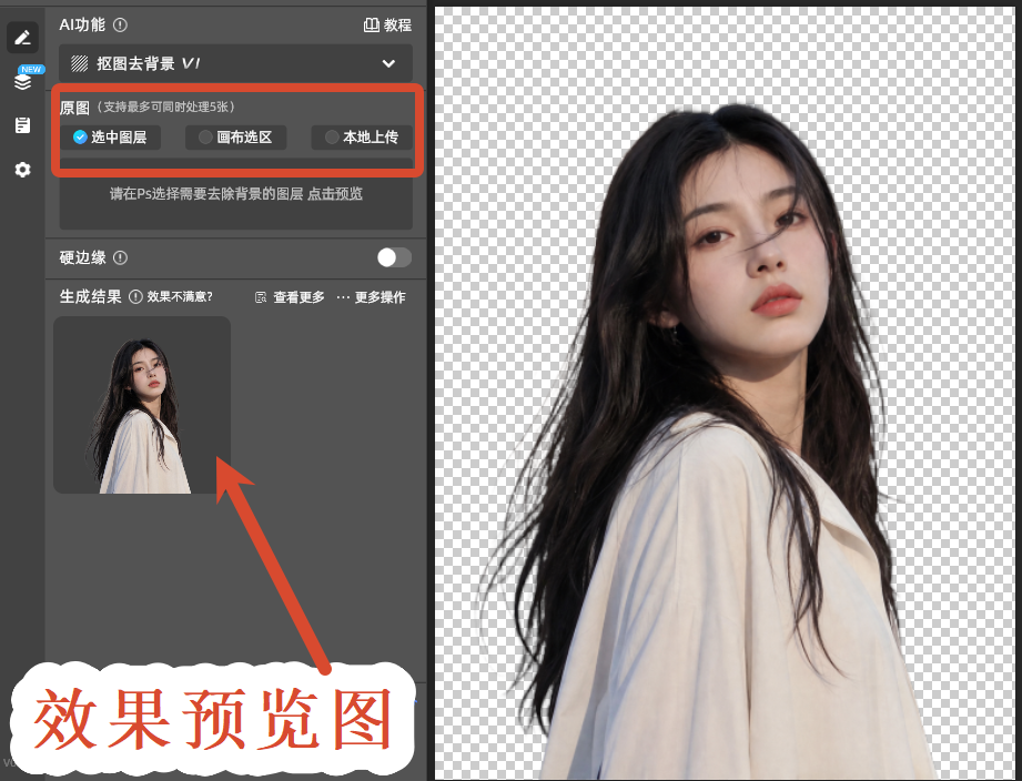 效果预览图