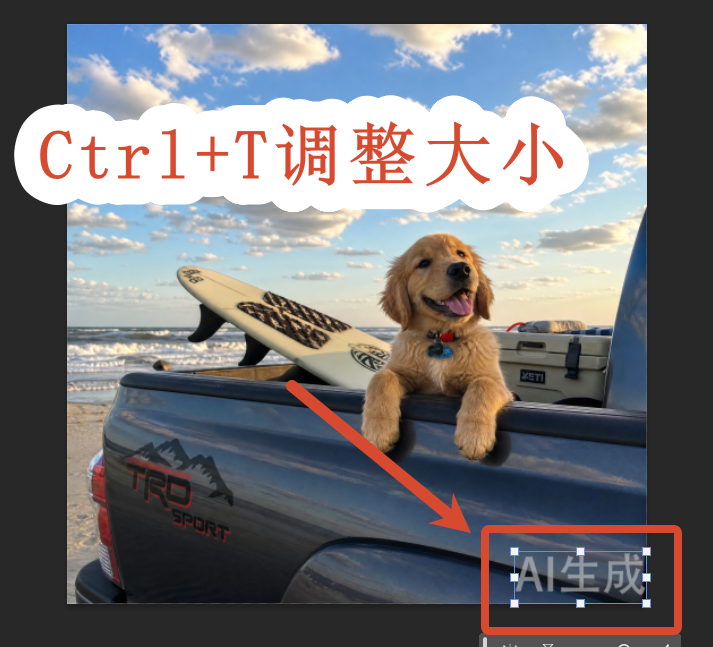 调整水印大小