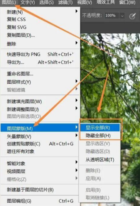 PS蒙版有哪几种类型?零基础最全蒙版创建及使用方法教程