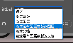 输出设置选择「新建带有图层蒙版的图层」，