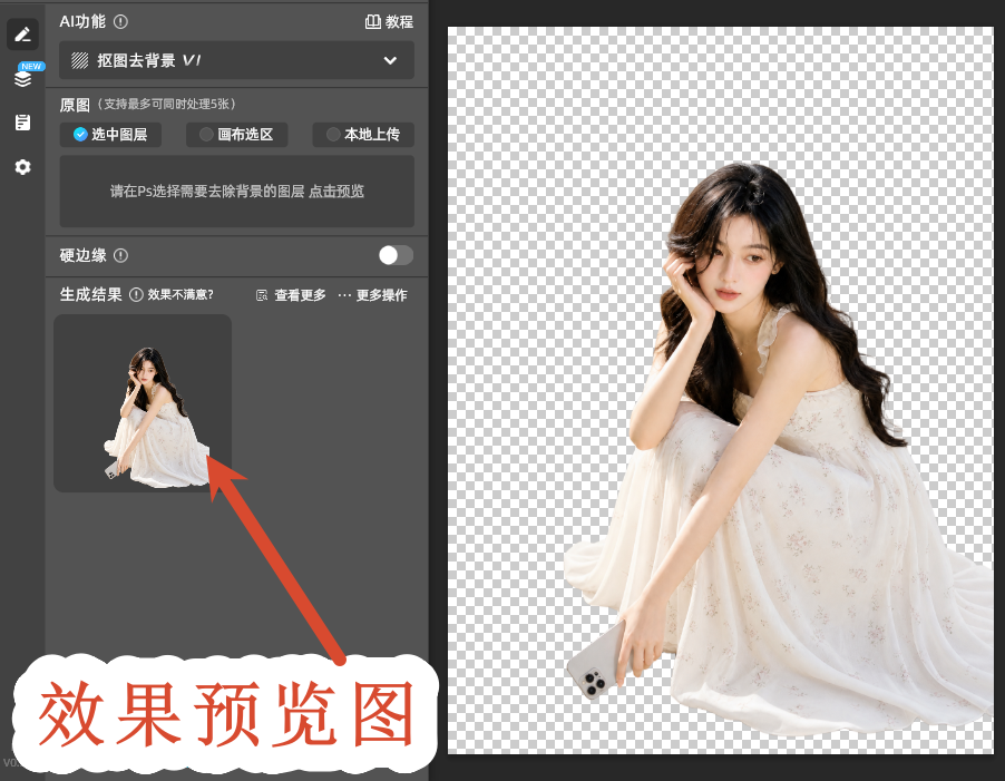 效果预览图