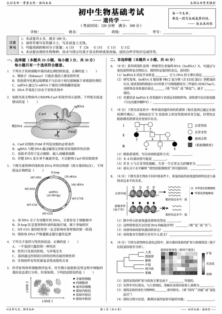ChatGPT Images 2.5发布！有哪些功能亮点？市场前景如何？