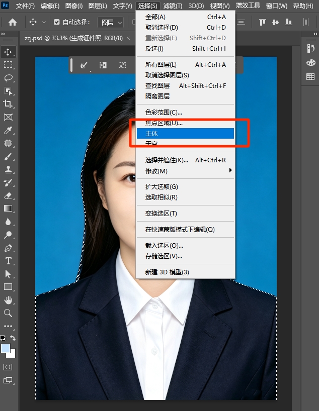 主体选择工具
