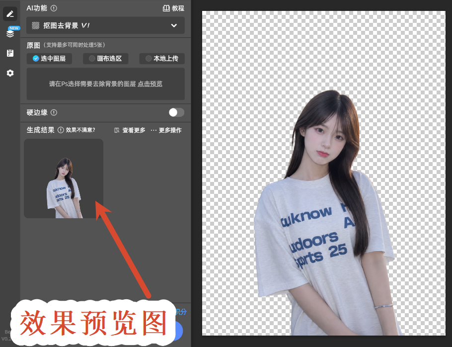 效果预览图
