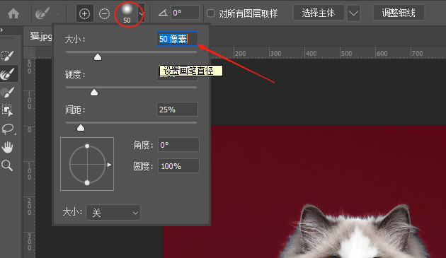 PS怎么抠毛发?选择并遮住7步精确抠头发丝