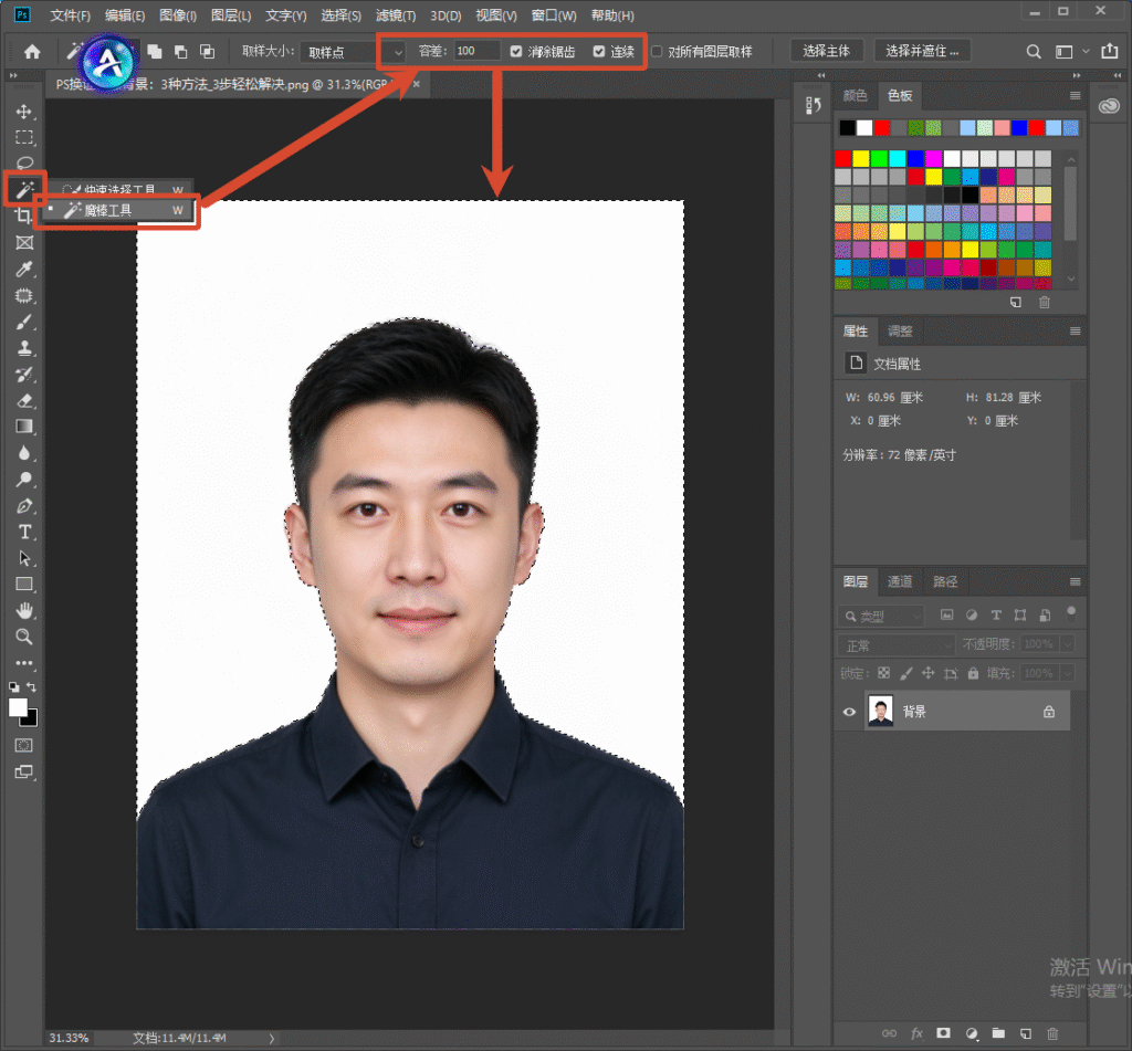 PS 软件界面，白底证件照，左侧选中魔棒工具，顶部属性栏标注容差、连续选项，箭头指向参数区域，演示魔棒工具选中白色背景的操作。
