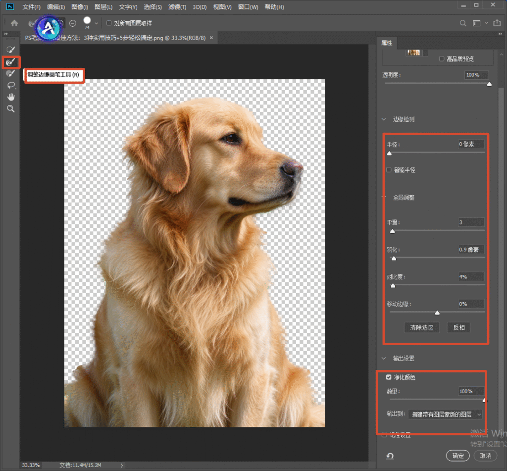 Photoshop 选择并遮住工作区，使用调整边缘画笔工具处理金毛毛发，右侧面板设置平滑、羽化、对比度等边缘参数，勾选净化颜色，用于精细抠取动物毛发。