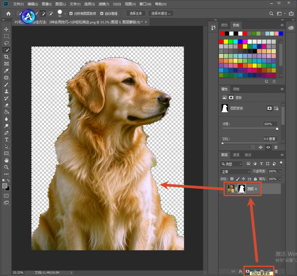 Photoshop 图层面板，图层添加矢量蒙版，金毛犬背景变为透明棋盘格，依靠蒙版完成抠图，保留原图不破坏像素，方便后续修改边缘。