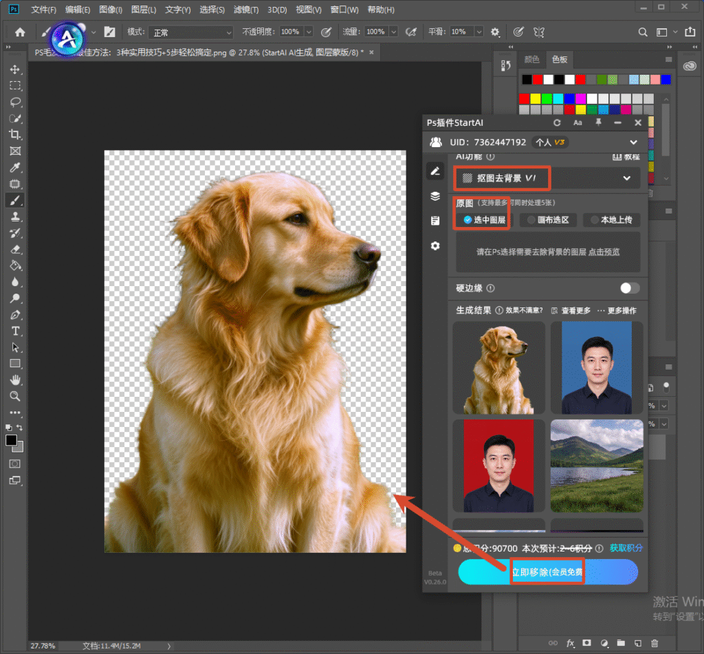 Photoshop 内 StartAI 插件面板，选中图层，功能选择 “抠图去背景 V1”，点击立即移除按钮，AI 一键去除金毛图片背景，快速生成透明底素材。