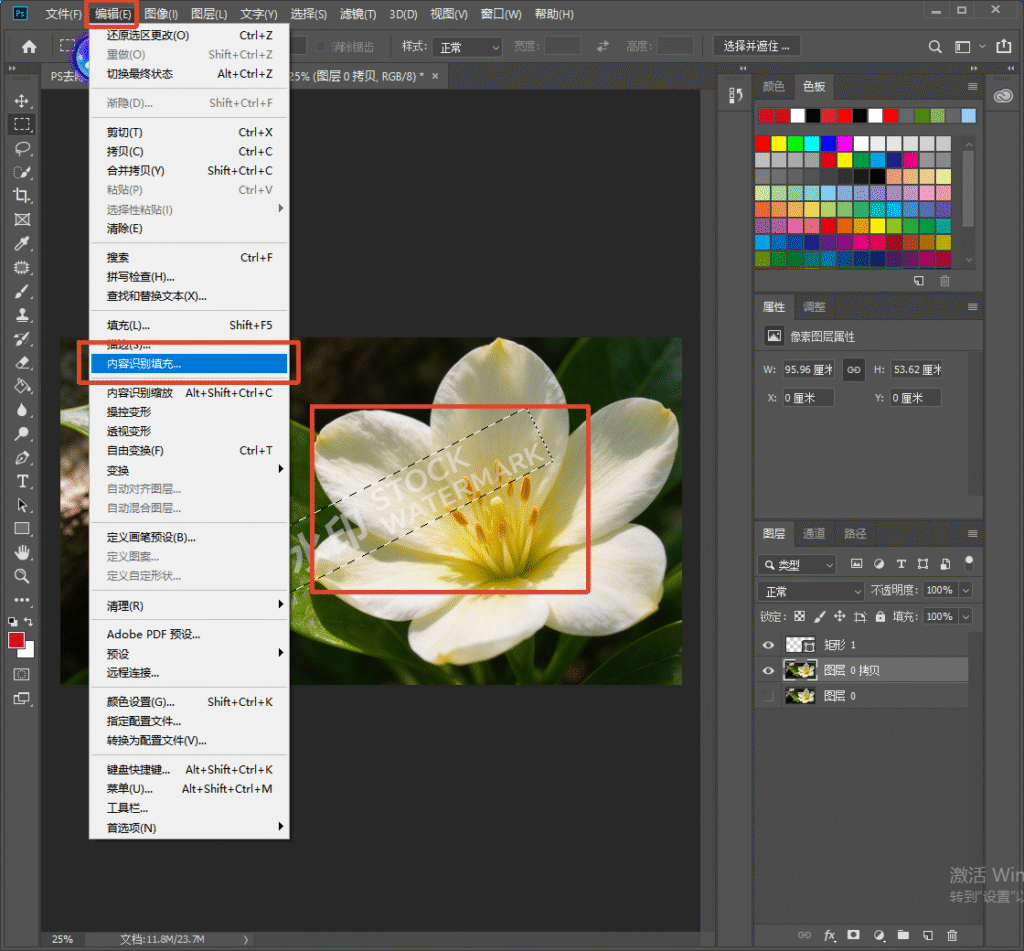 Photoshop 软件界面,使用选区框选花朵上的水印,点击顶部【编辑】菜单,选中 “内容识别填充” 选项,演示 PS 内容识别填充去水印操作。