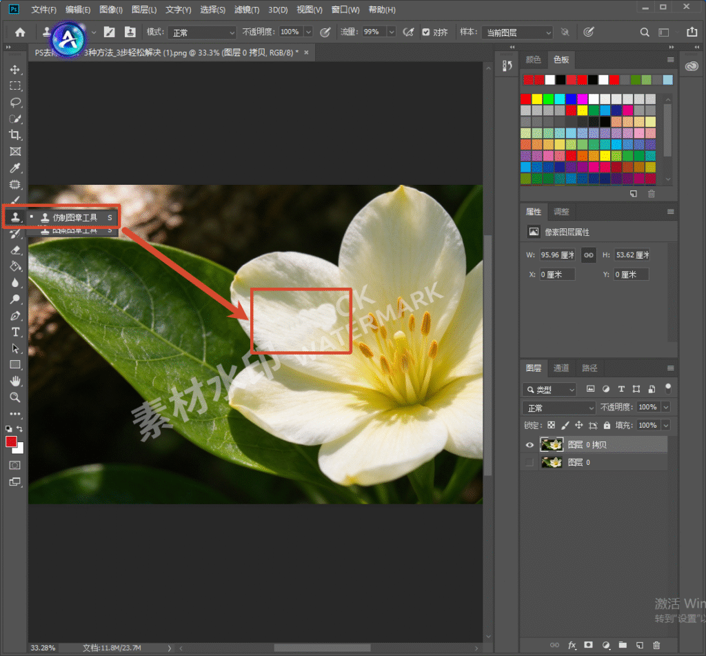 Photoshop 软件界面,在左侧工具栏选中仿制图章工具,红色框标注花朵水印区域,演示使用仿制图章工具去除图片水印。