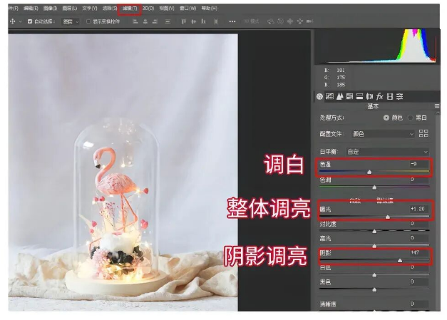 PS怎么把照片调清透明亮？三步调出干净通透感