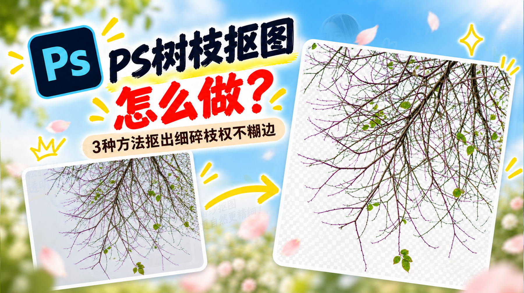 PS树枝抠图怎么做？3种方法抠出细碎枝杈不糊边
