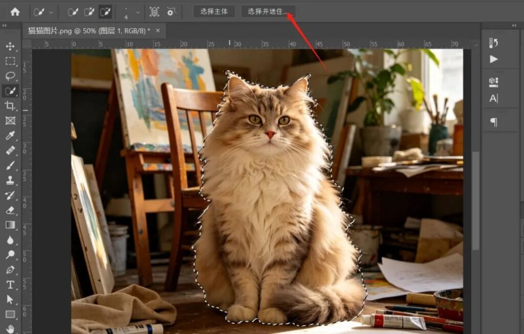 PS选择并遮住怎么抠毛发?复杂背景毛发抠图边缘更干净教程