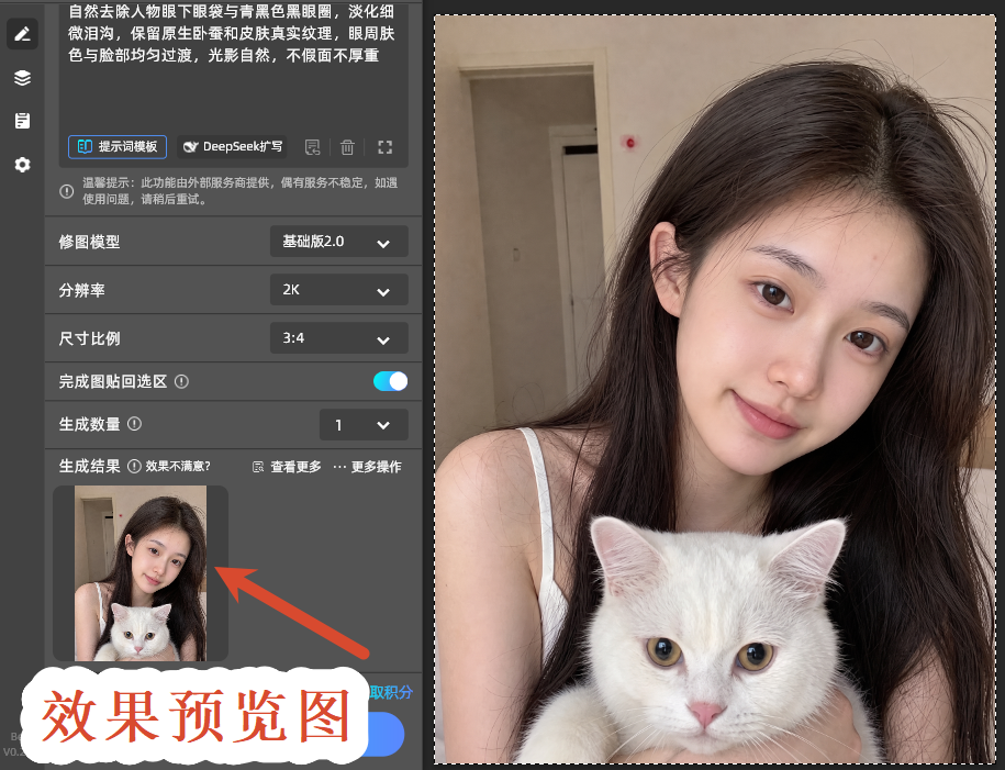 效果预览图