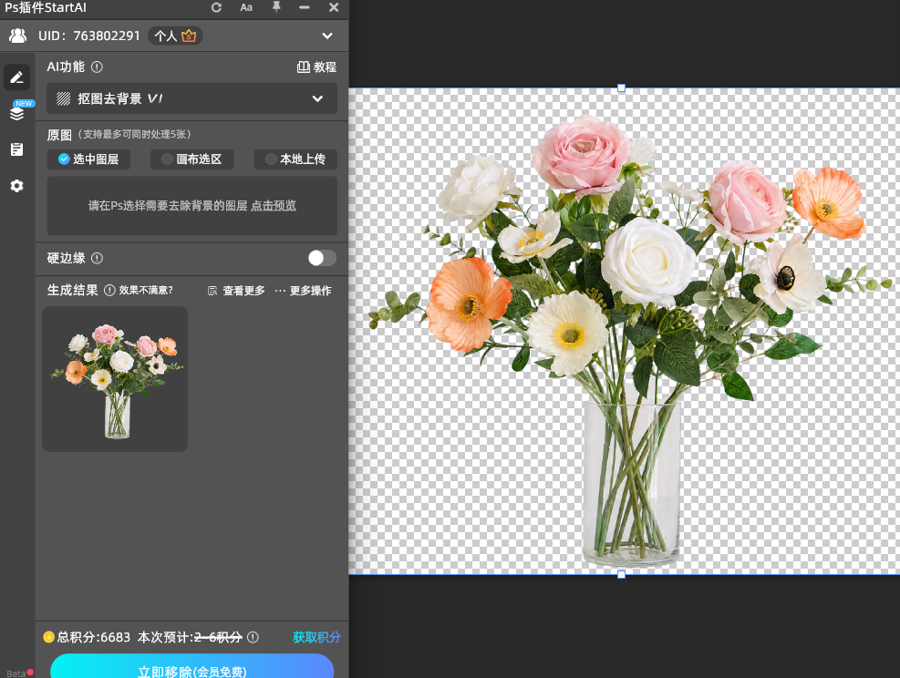 tartAI插件抠图去背景仿真花框选整束花