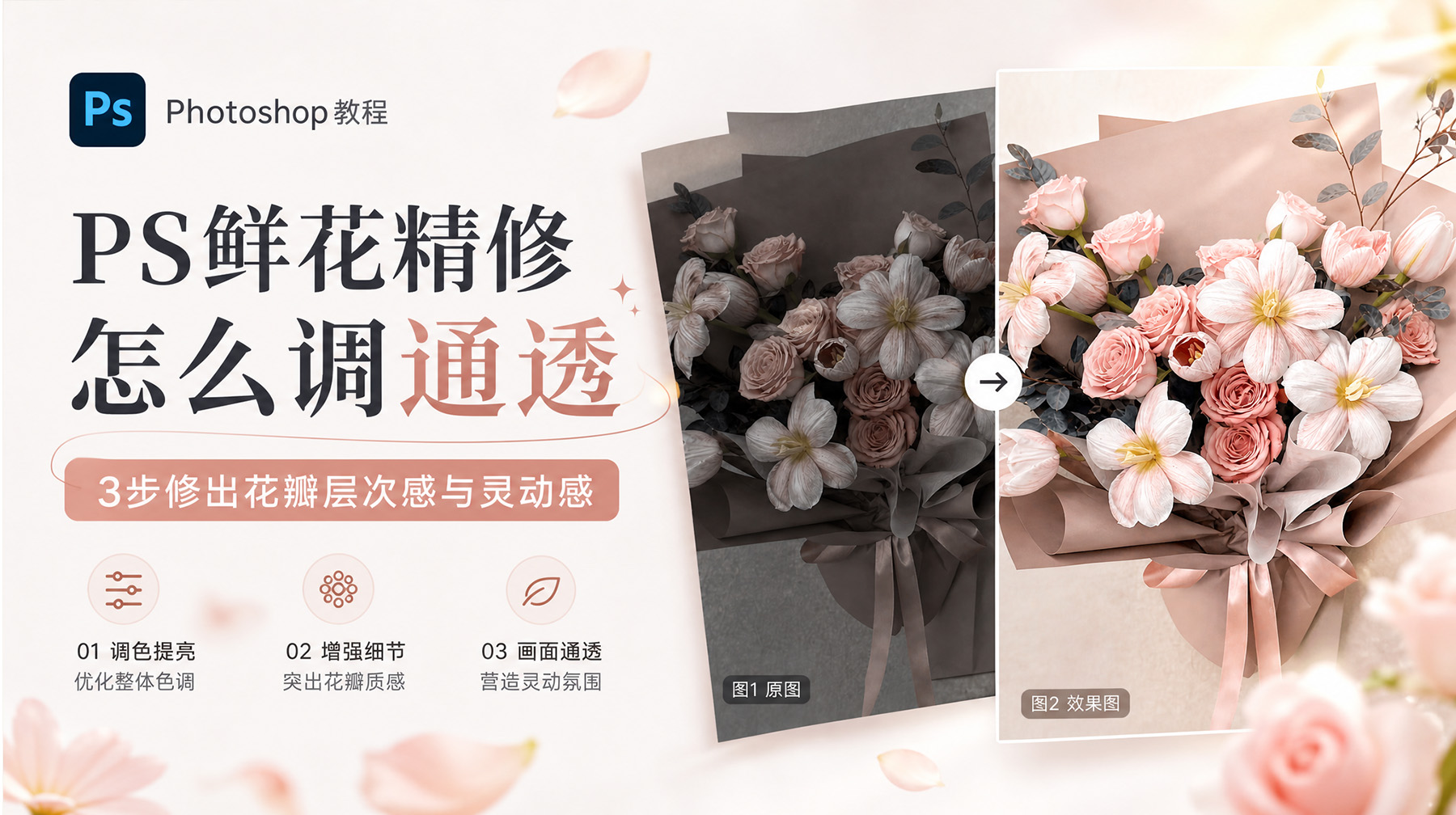 PS鲜花精修怎么调通透？3步修出花瓣层次感与灵动感